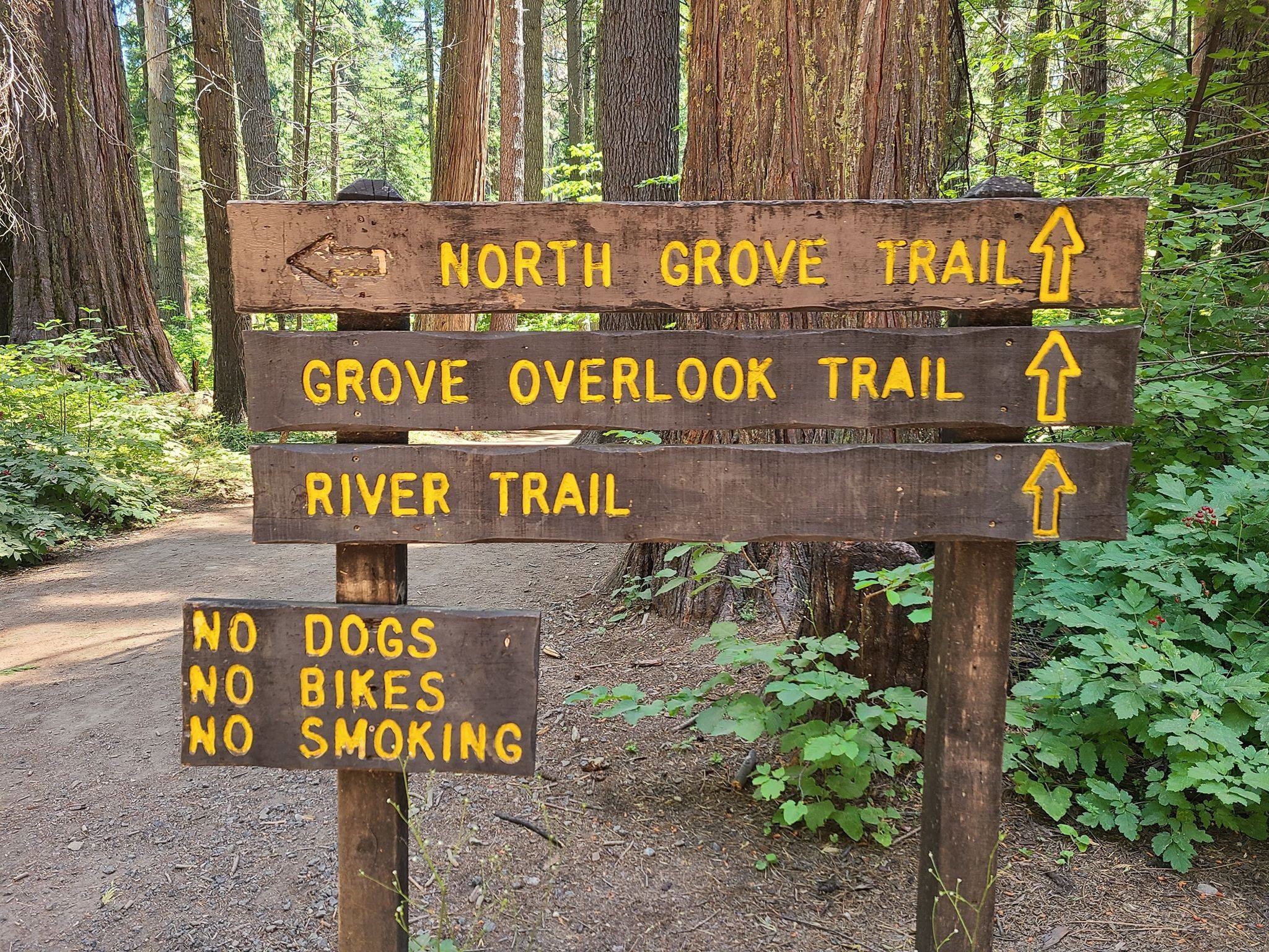 Trail Sign 